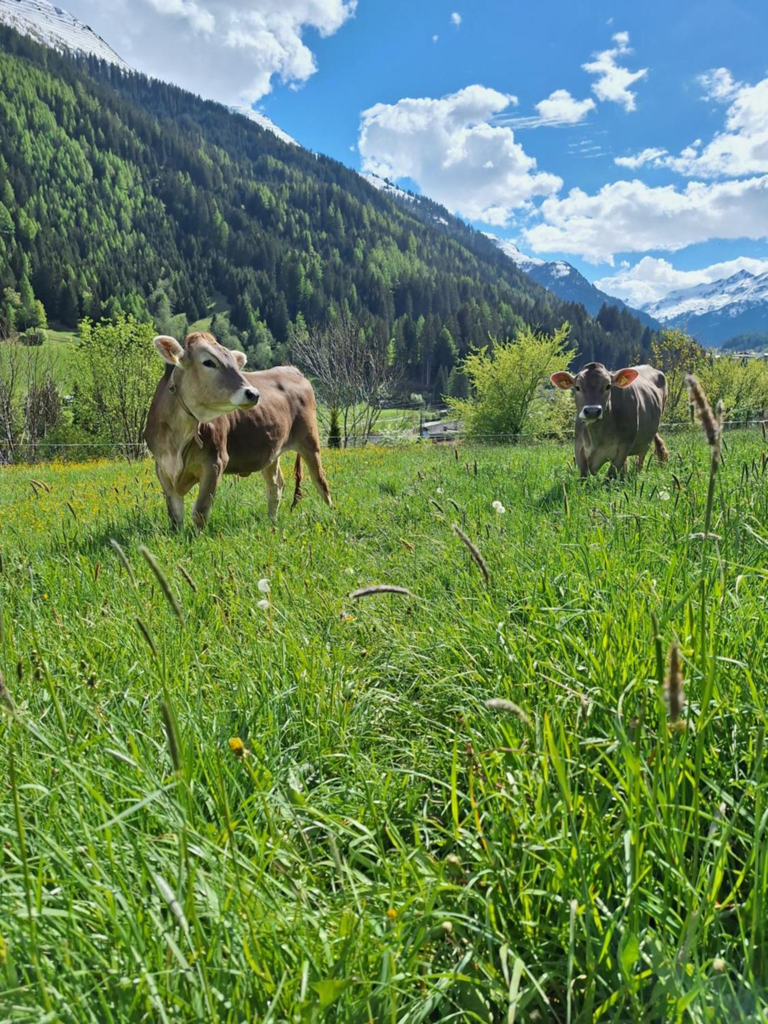 Ferienwohnung Gsoerhof St. Anton am Arlberg Exterior foto