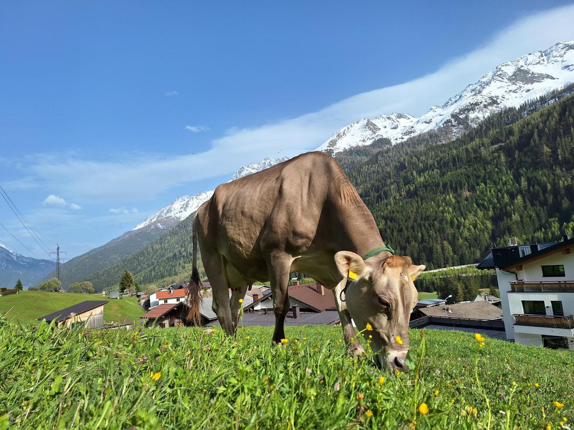 Ferienwohnung Gsoerhof St. Anton am Arlberg Exterior foto